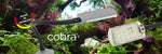 Laden Sie das Bild in den Galerie-Viewer, daytime® cobra - LED-Beleuchtung für NANO-Aquarien