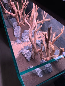 aqua art - Weißglasaquarium - P-Serie