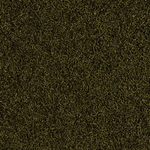 Laden Sie das Bild in den Galerie-Viewer, Tropical - Caridina Nano Sticks 10g
