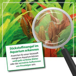 Laden Sie das Bild in den Galerie-Viewer, ARKA - Plants N - Nitratdünger
