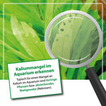 Laden Sie das Bild in den Galerie-Viewer, ARKA - Plants NPK - Volldünger 473ml

