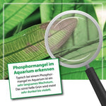 Laden Sie das Bild in den Galerie-Viewer, ARKA - Plants P - Phosphor Dünger
