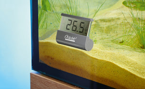 Oase - digitales Thermometer