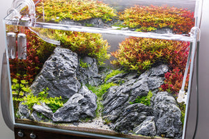 ARKA myScape-Rocks Seiryu - Mini Landschaft 10-30 cm
