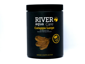 River Aqua - Catappa Large