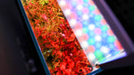Laden Sie das Bild in den Galerie-Viewer, Twinstar LED Light III SM
