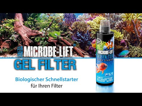 Microbe Lift - Gel Filter - Filterbakterien